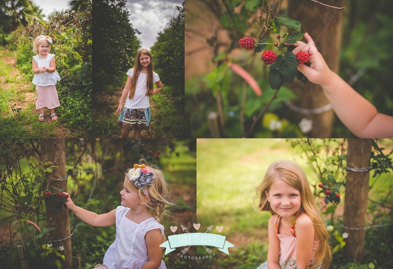 Tara Merkler Photography Orlando, Florida Children's Photography Merkler Girls Blackberry Patch June 2014_0004.jpg