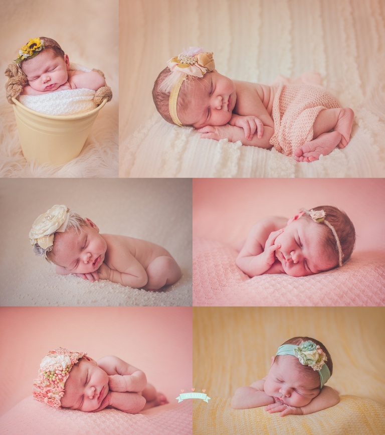 Milton Newborn Session 2016 Tara Merkler Photography-116_WEB.jpg