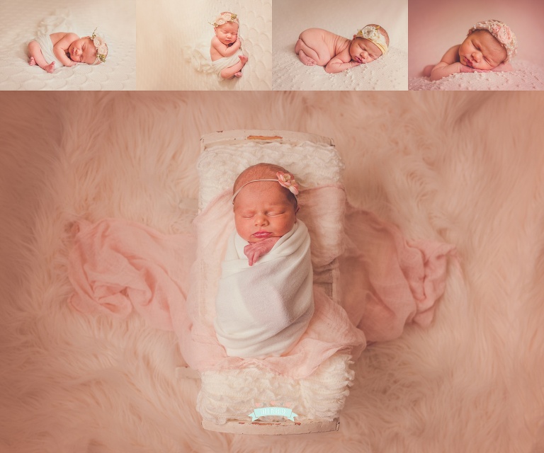 Johnson Newborn Session 2016 Tara Merkler Photography-12_WEB-1.jpg